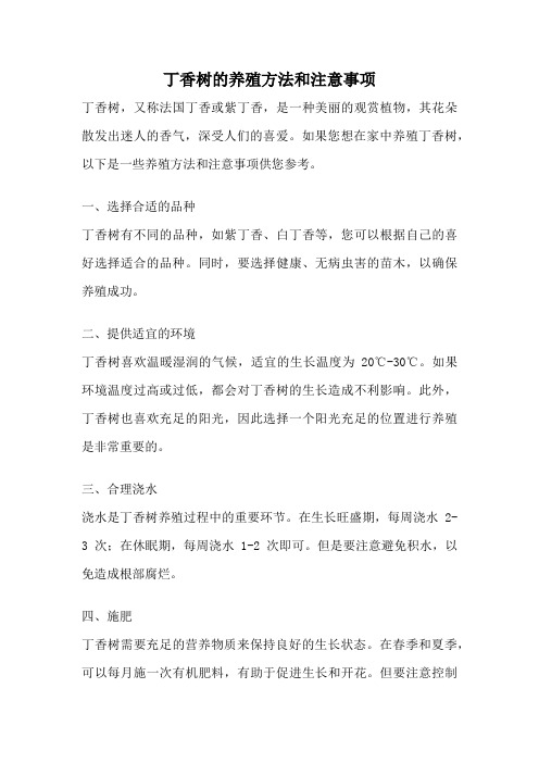 丁香树的养殖方法和注意事项