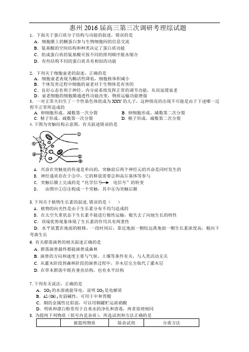 广东省惠州市高三上学期第三次调研考试试题(5科6份)(广东省惠州市高三上学期第三次调研考试理科综合试