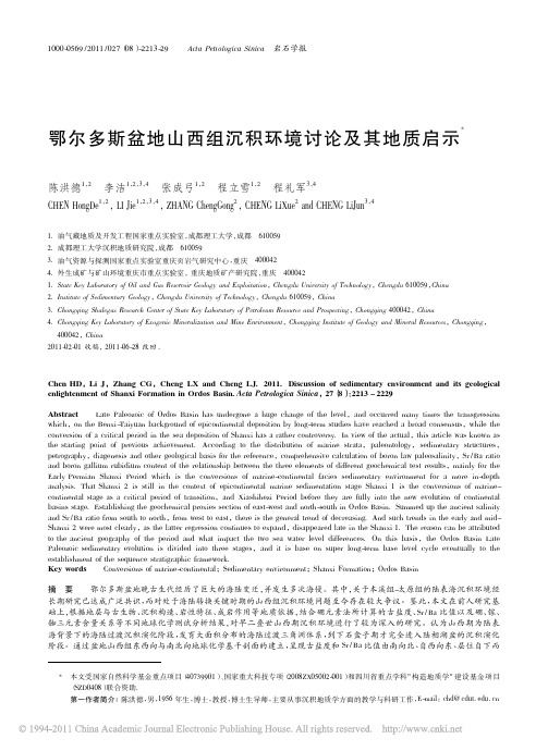 鄂尔多斯盆地山西组沉积环境讨论及其地质启示