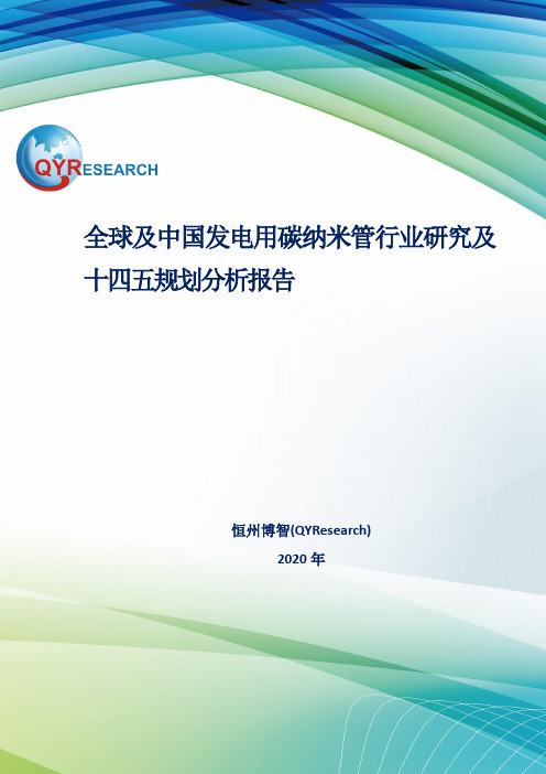 全球及中国发电用碳纳米管行业研究及十四五规划分析报告