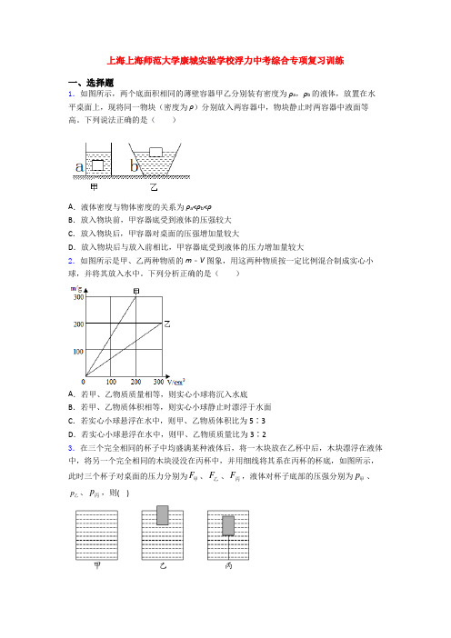 上海上海师范大学康城实验学校浮力中考综合专项复习训练