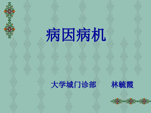 病因病机