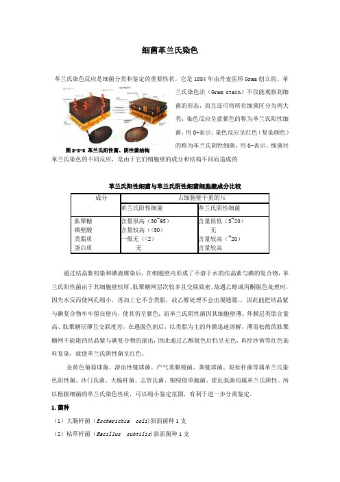 细菌革兰氏染色