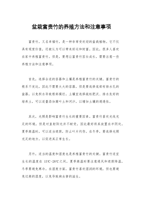 盆栽富贵竹的养殖方法和注意事项