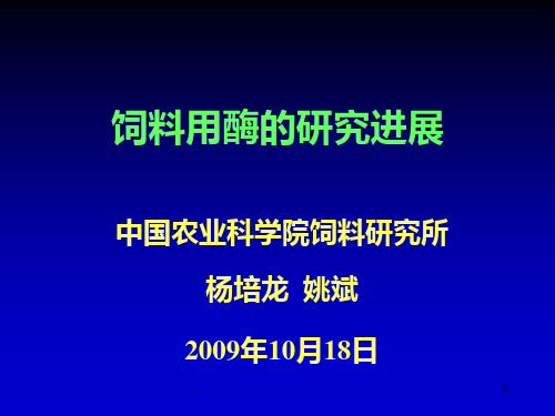 饲料用酶PPT课件