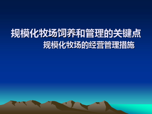 规模化牧场饲养和管理的关键点