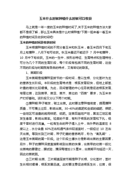 玉米什么时候种植什么时候可以收获