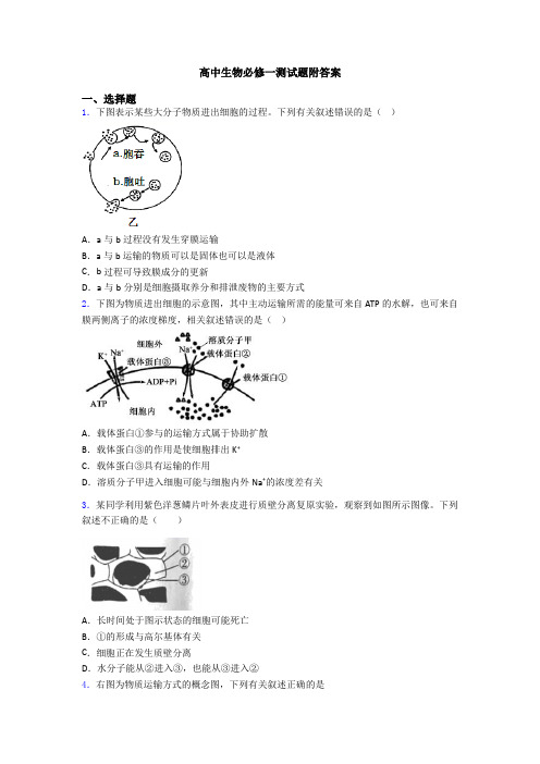 高中生物必修一测试题附答案