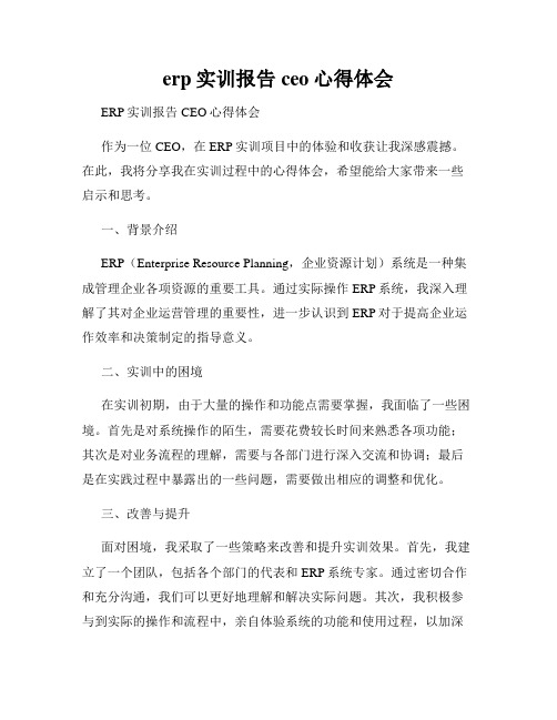 erp实训报告ceo心得体会