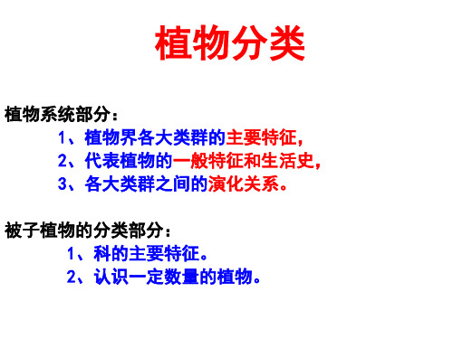 植物分类小结汇总