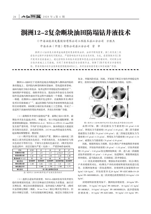 涠洲12-2复杂断块油田防塌钻井液技术