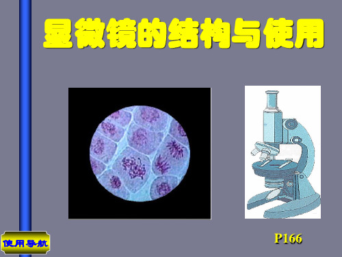 人教版高一生物必修1课件：第一章 显微镜的使用与结构 ppt课件