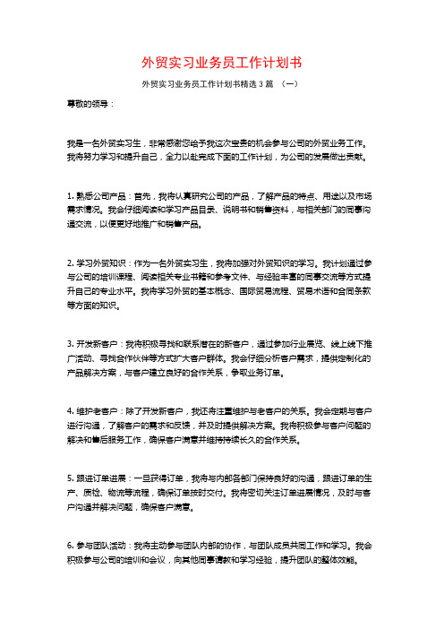 外贸实习业务员工作计划书3篇