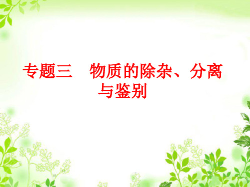 备战中考_人教版2016年中考化学总复习课件_专题3_物质的除杂、分离与鉴别