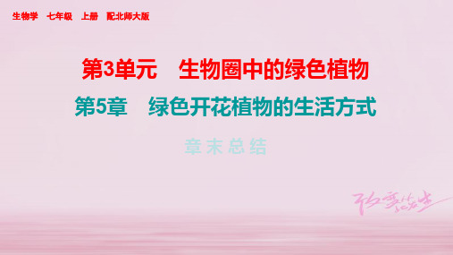 2019年秋七年级北师大版生物上册课件：第5章 章末总结 (共26张PPT)