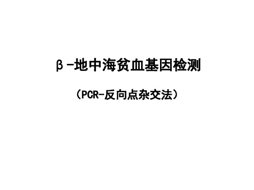 β地中海贫血基因检测反向点杂交法ppt课件