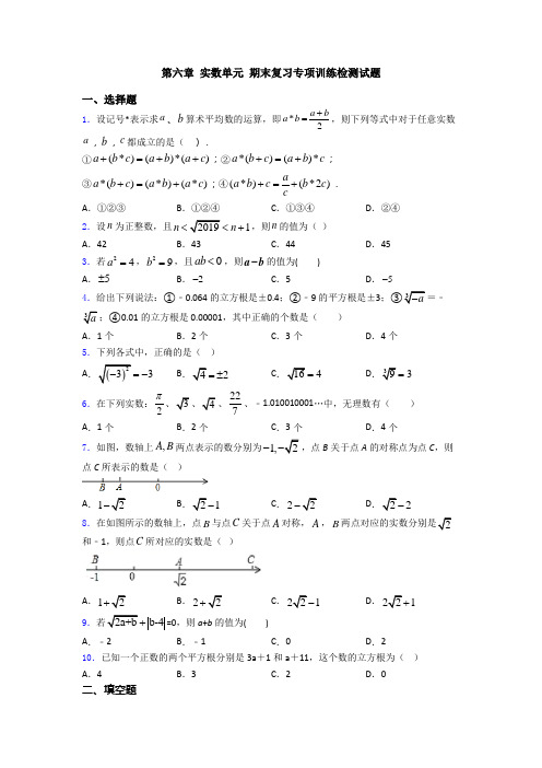 第六章 实数单元 期末复习专项训练检测试题