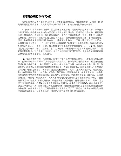 小狗成狗拉稀的治疗办法