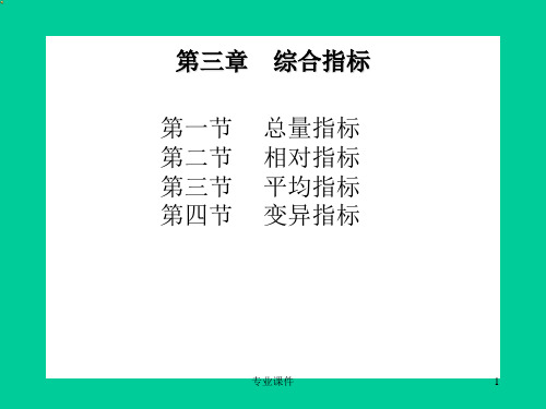 第三章  综合指标：总量、相对、平均、变异(专业课件)