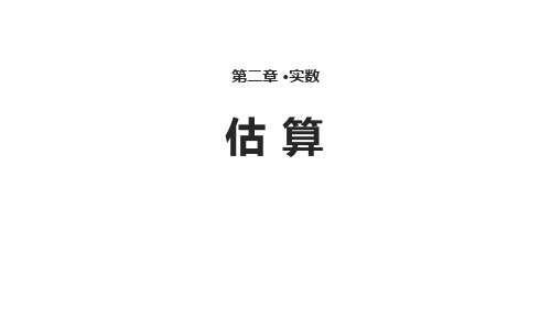 《实数——估算》数学教学PPT课件(2篇)