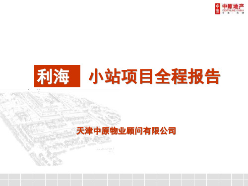 中原地产天津利海小站全程营销策略报告