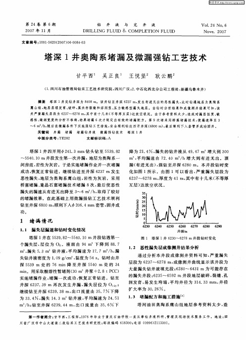 塔深1井奥陶系堵漏及微漏强钻工艺技术