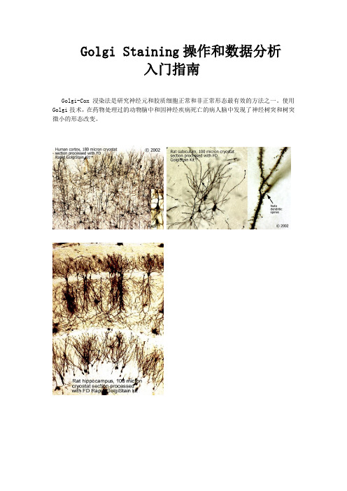 Golgi Staining Protocol