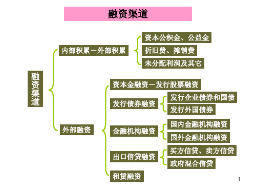 项目资金结构PPT课件