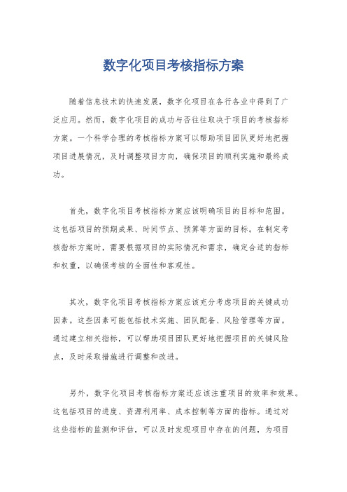 数字化项目考核指标方案