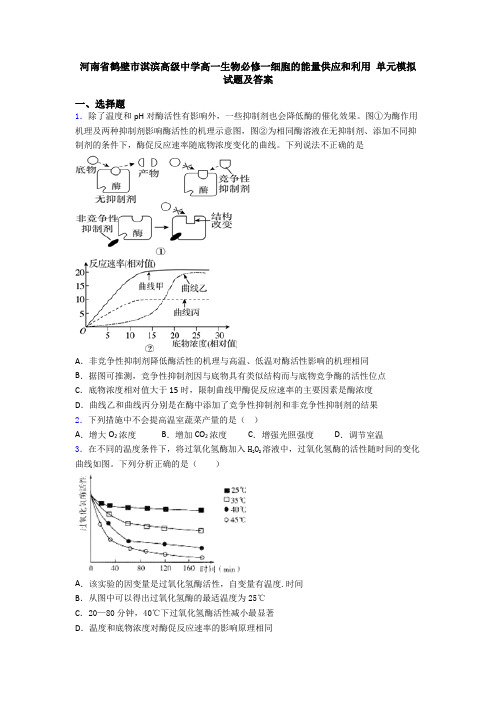 河南省鹤壁市淇滨高级中学高一生物必修一细胞的能量供应和利用 单元模拟试题及答案