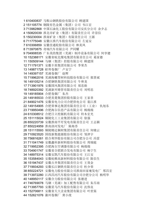 安徽省百强企业