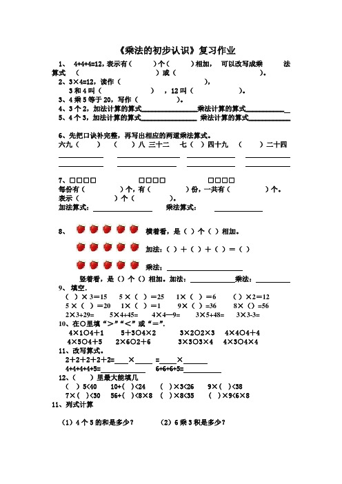 《乘法的初步认识》复习作业