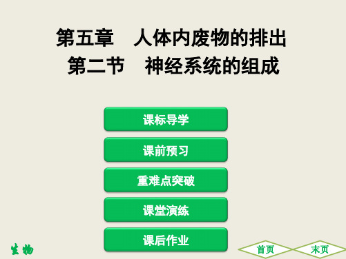 2020春人教版初中生物七年级下册同步讲练：第二节 神经系统的组成