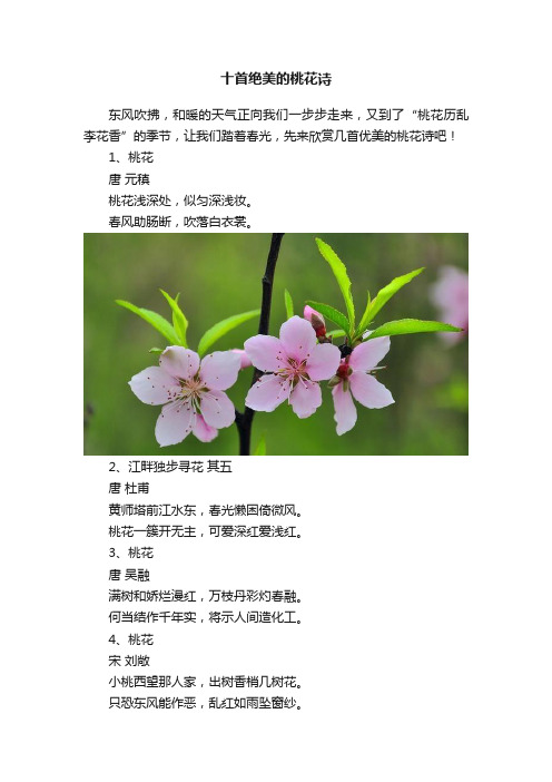 十首绝美的桃花诗