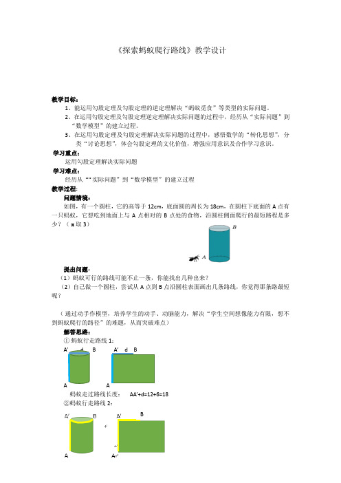 《探索蚂蚁爬行路线》教学设计