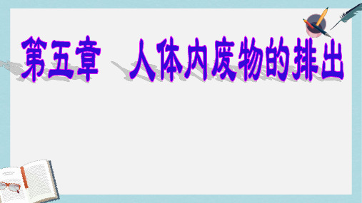 七年级生物下册人教版第五章人体内废物的排出课件ppt课件