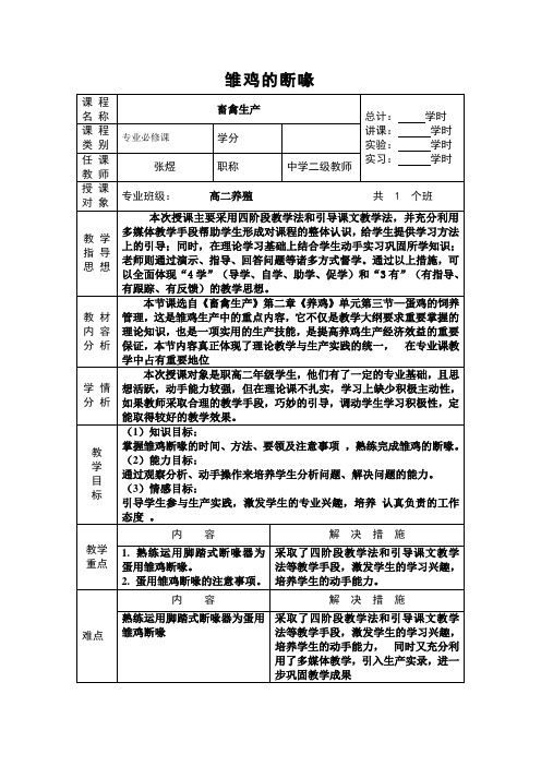 雏鸡的断喙