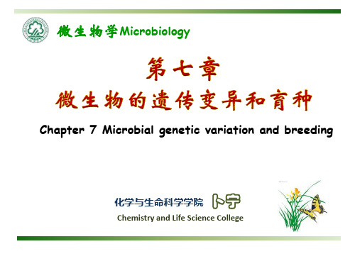 9第7章(微生物遗传)