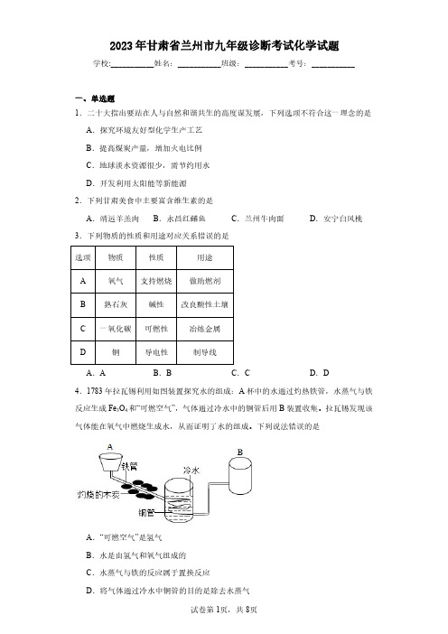 2023年甘肃省兰州市九年级诊断考试化学试题(含答案解析)