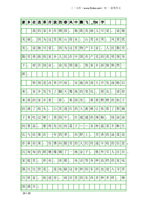 初一叙事作文：家乡在改革开放的春风中腾飞_700字