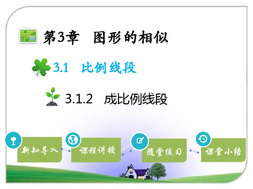 湘教版九年级数学上册 3.1.2成比例线段