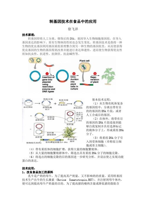 转基因技术在食品中的应用