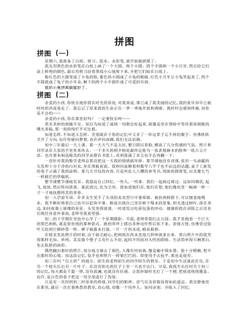 拼图作文共九篇