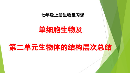 七上生物第二单元单细胞生物总结复习课件