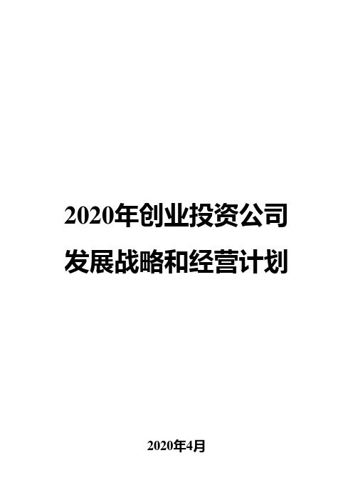 2020年创业投资公司发展战略和经营计划