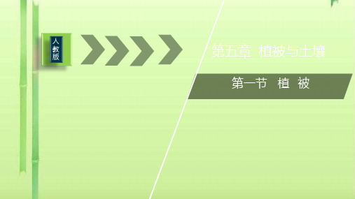 人教版(2019)高中地理必修一第五章植被和土壤第一节植被(共16张PPT)