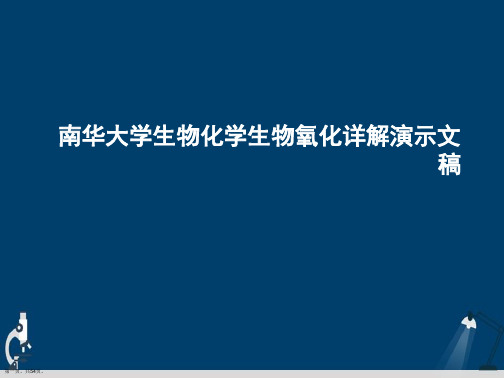 南华大学生物化学生物氧化详解演示文稿