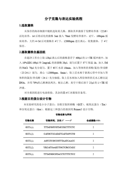 分子克隆与表达实验