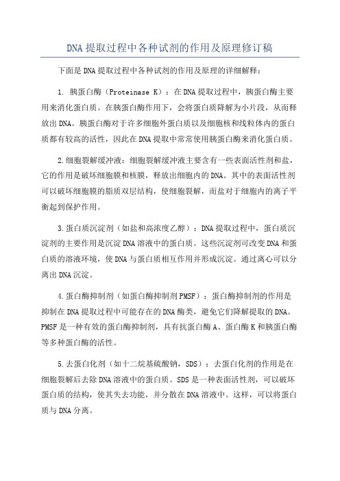 DNA提取过程中各种试剂的作用及原理修订稿