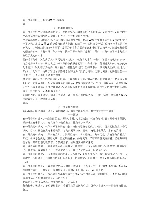 有一种美丽叫____作文600字 六年级